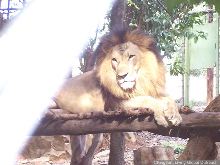 Mission Trips in Kenya by Kingdom Living Global Outreach